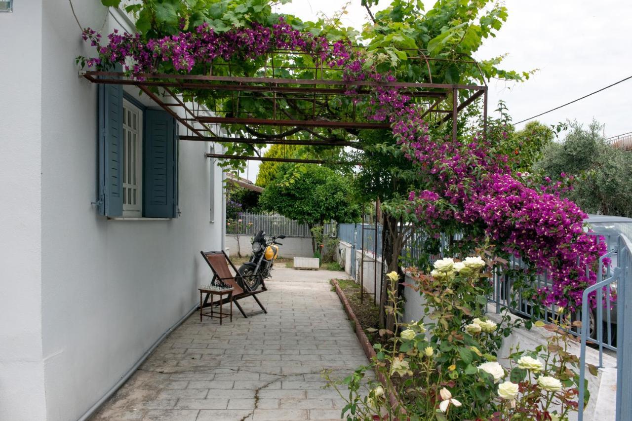 Met & Kas Corner Spacious House With Countryard Apartment